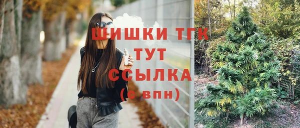 2c-b Зеленодольск